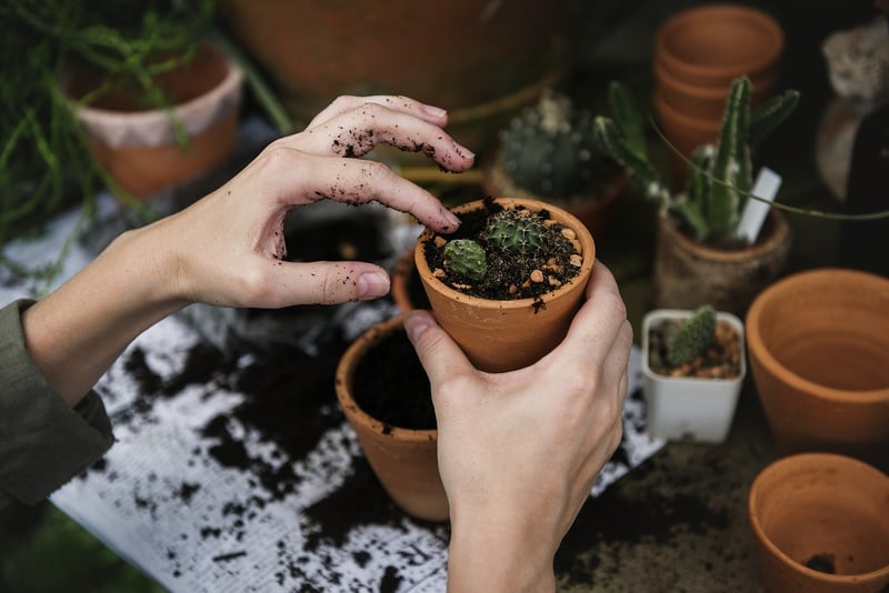 Container Gardening