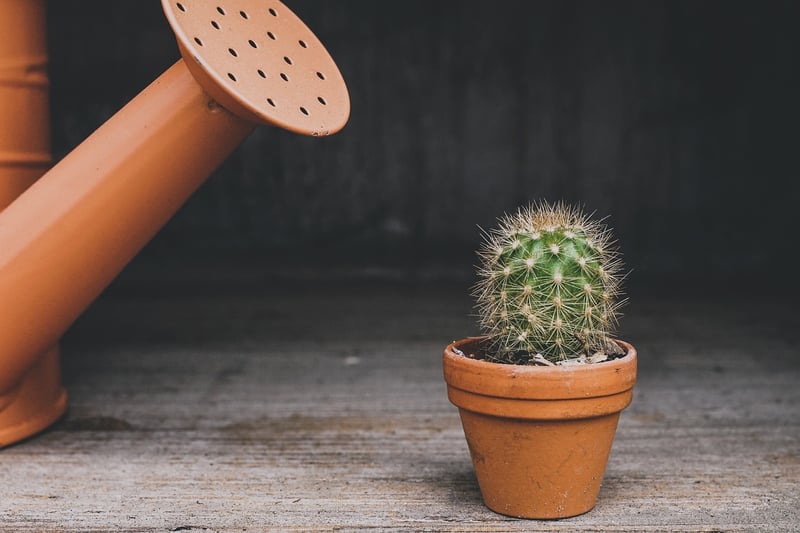 Stackable Planters